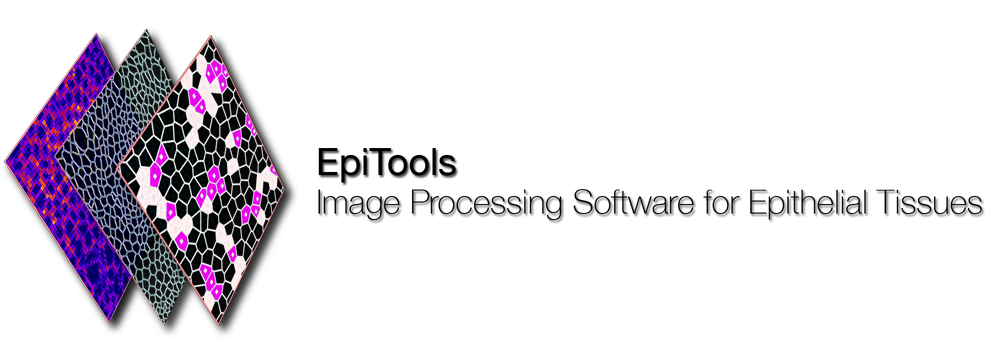 EpiTools logo