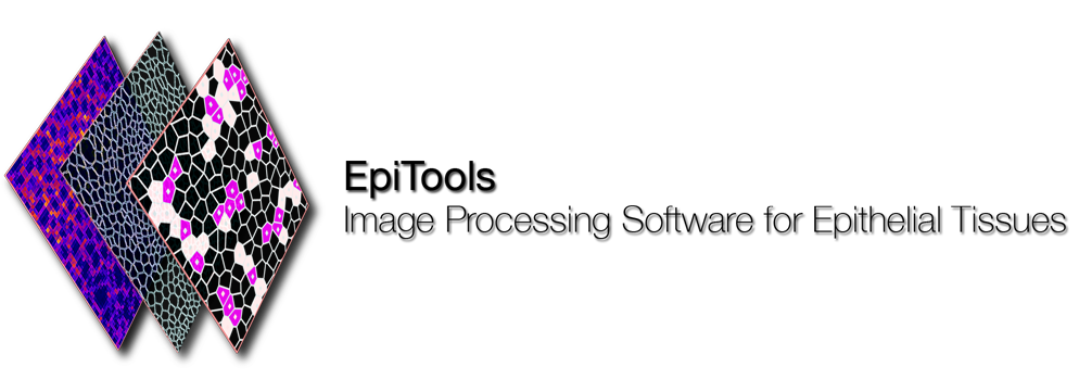 EpiTools logo
